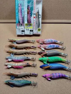 【激レア深海魚】テンガイハタ 液浸標本 激レア深海魚】テンガイハタ 液浸標本 - メルカリ