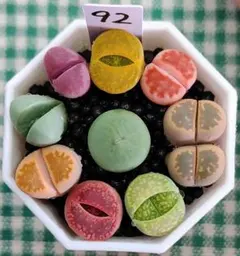 ちぃ様 リクエスト 2点 まとめ商品