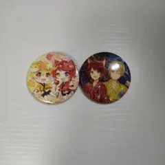 るぅりーぬ 缶バッジ セット すとぷり