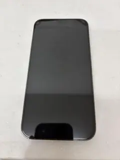 『極美品』　iPhone 13 Pro Max 256GB グラファイト