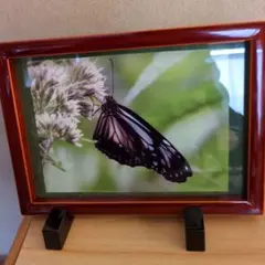 みずいろ様 リクエスト 4点 まとめ商品