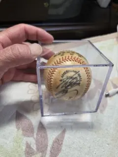 新潟県高等学校野球連盟1970年代サインボール - メルカリ