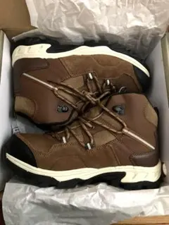 Item thumbnail for item 1809bcf2-965f-4e8b-aeb6-f5172c13c639