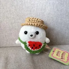 スイカ麦わら帽子　ハンドメイド　手編み ぬい活　ぬい服 着せ替え