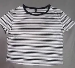 SHEIN ボーダー 半袖 リブカットソー M