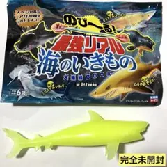 のびーる！最強リアル海の生き物　ホホジロザメ　暗闇で光る