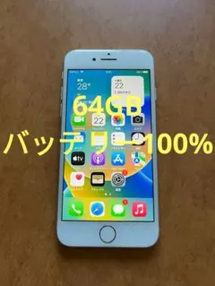 Apple iPhone 8 256GB シルバー 本体 SIMフリー - メルカリ