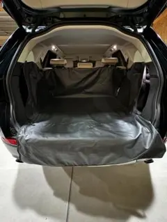 Item thumbnail for item 77801e04-97ba-4174-9404-78234c0da9fb