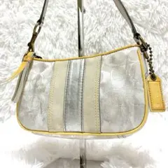 希少✨COACH ワンショルダー アクセサリーポーチ ミニハンドバッグ シルバー