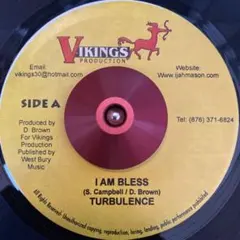 Turbulence / Black Panther 7inch レゲエ
