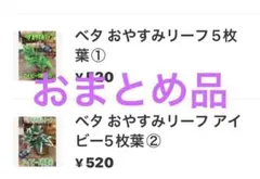 motokaa1229様 リクエスト 2点 まとめ商品