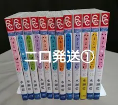 ハチミツにはつこい 全巻セット まとめ売り - メルカリ