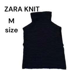 Item thumbnail for item 416347ac-35a3-4442-8a16-7601e0d6f387