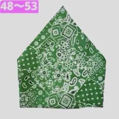 Item thumbnail for item d90d70c5-1d5b-4baf-870a-44a0496d5085