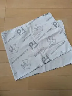 バンプ BUMP OF CHICKEN タオル PATHFINDER 白