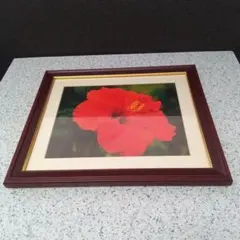 【コニカカラー】木製額縁　写真六切りサイズ　壁掛けタイプ