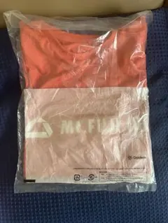 希少FUJI100 2026tシャツ　XLサイズGoldwin ノースフェイのサムネイル