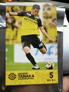 柏レイソル ルヴァン カード 田中隼人選手