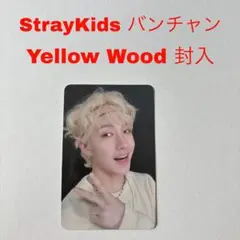 2026年最新】straykids yellow wood バンチャンの人気アイテム - メルカリ