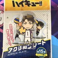 ハイキュー　アクリルプレート　牛島若利 ダイカットステッカー　天童覚