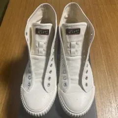 Item thumbnail for item 8115120d-a4ad-426d-a1e3-969aeda51991