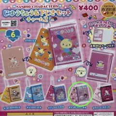シュガーバニーズ サンリオキャラクターズ じゆうちょう＆下じきセットチャーム2