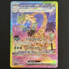 2026年最新】アローラナッシーex SARの人気アイテム - メルカリ