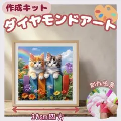 ダイヤモンドアート30×30 2匹の猫　動物　子猫　クラフト　作成キット
