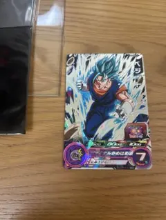 GCP-SEC9 ベジット