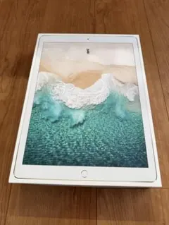 起動不可】Apple iPad Pro 12.9インチ 第3世代 256GB - メルカリ