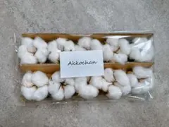 【美品】綿花　コットン　ドライフラワー