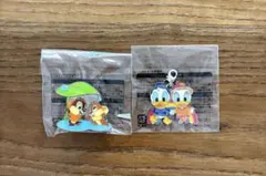東京ディズニーリゾート 雨の日限定チャーム ピンバッジ　ジャングルカーニバルのサムネイル