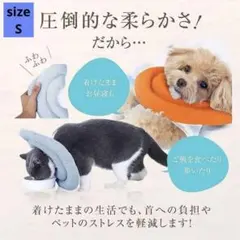 エリザベスカラー ソフト ブルー Sサイズ 子猫 子犬 ペット用具 患部保護