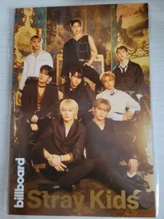 StrayKids billboard 冊子