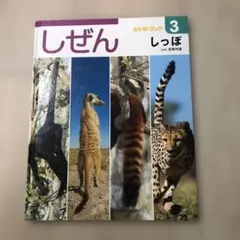 2025年最新】しぜん フレーベル館の人気アイテム - メルカリ