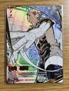 ハイキュー バボカ 日向翔陽 頂P