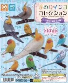 手のりインコ コレクション〘 スヤスヤおやすみ編〙