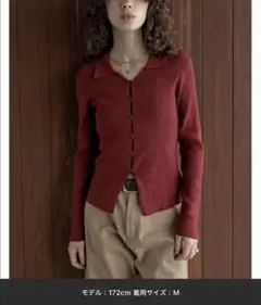 [2025AW COLLECTION]ポロカラーニット