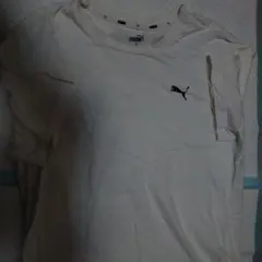 Item thumbnail for item caeb1eda-f20f-454c-bae8-e5f9356da023