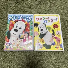 いないいないばぁっ！　DVDセット③