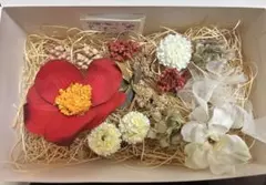 髪飾り ドライフラワー /プリザーブドフラワー