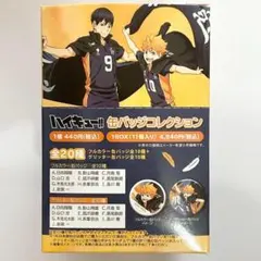 ハイキュー!! 缶バッジコレクション フルカラー10種　グリッター　日向翔陽