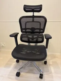 エルゴヒューマンプロ2