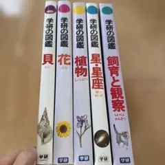 Item thumbnail for item e102cba2-f54f-4c4e-9ce2-b5e00c75a7a0