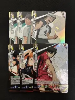 ハイキュー 日向翔陽 影山飛雄 及川徹 木兎光太郎 黒尾鉄朗 バボカ 頂