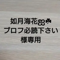 あつまれどうぶつの森　409SP【あさみ】amiiboカードあつ森どう森