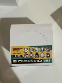 SAKAMOTODAYS 缶バッジ vol.1 サカモトデイズ box タワレコ