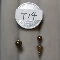 T14-5 ステンレスピアス レディース メンズ アクセサリー 無言OK