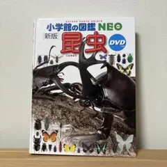 Item thumbnail for item 9c5e87cd-08fe-4eb0-924a-f7c0fa7c11d3