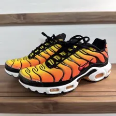NIKE Air Max Plus